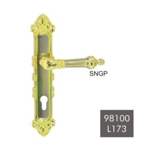 98100 L173 - SNGP