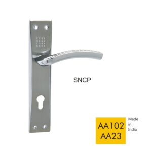 AA102 AA23 - SNCP