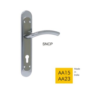 AA15 AA23 - SNCP