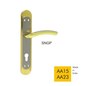 AA15 AA23 - SNGP