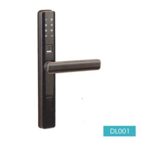 DL001