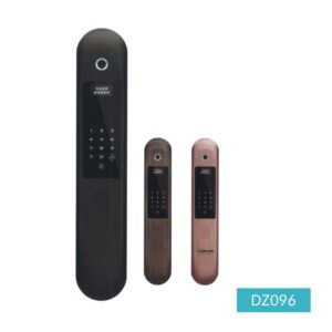 DZ096