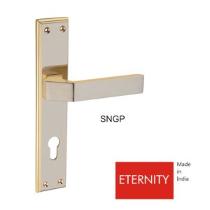 ETERNITY-SNGP
