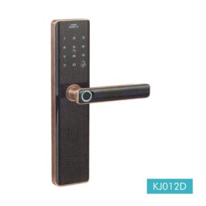 KJ012D
