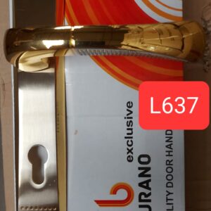 L637 SNGP