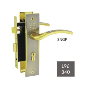 L96 B40 - SNGP