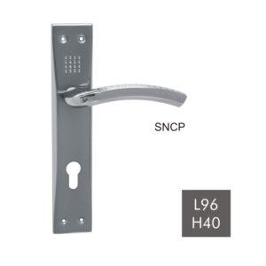 L96 H40 - SNCP