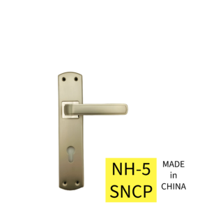 NH-5 SNCP