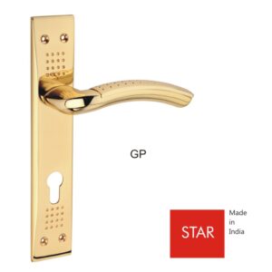 STAR-GP
