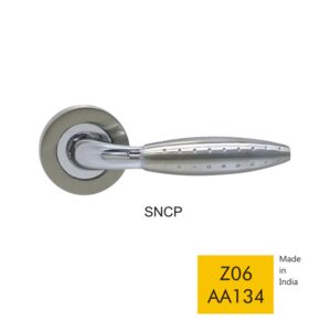 Z06 AA134 - SNCP