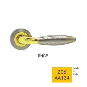 Z06 AA134 - SNGP