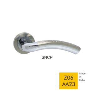 Z06 AA23 - SNCP