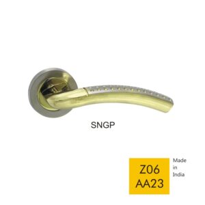 Z06 AA23 - SNGP