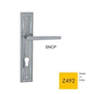 Z492 - SNCP